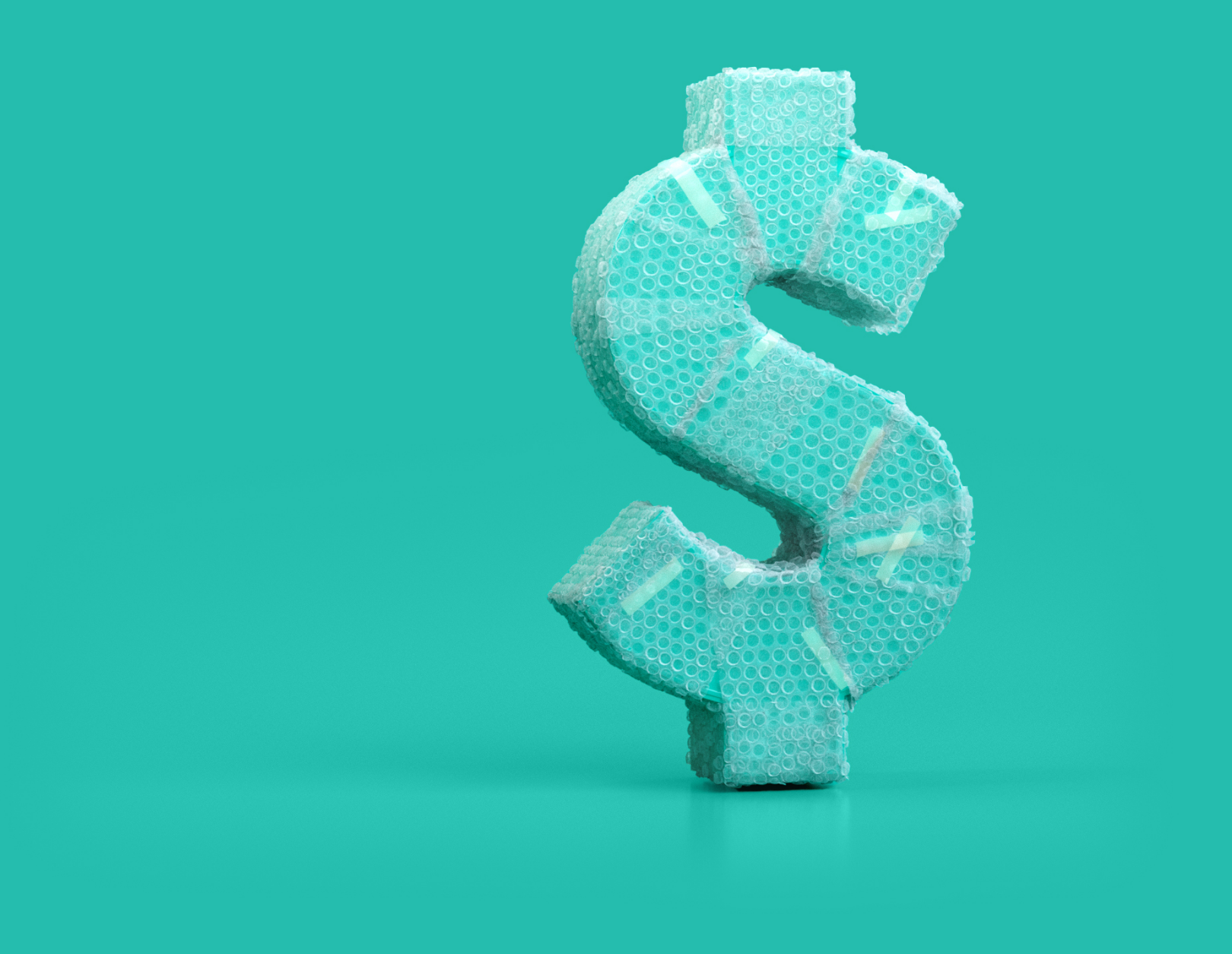 Dollar sign wrapped in bubble wrap